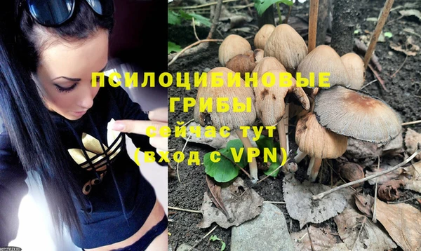 твердый Кулебаки