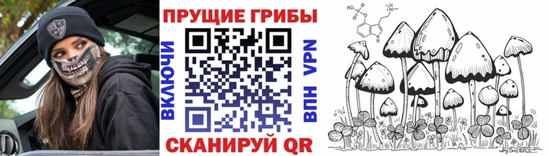 hydra как войти нарко площадка состав Псилоцибиновые грибы мухоморы Ряжск